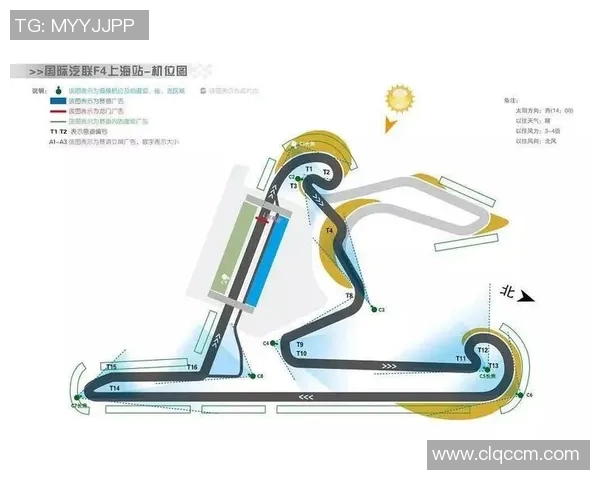 F1赛道设计对车队比赛策略的影响