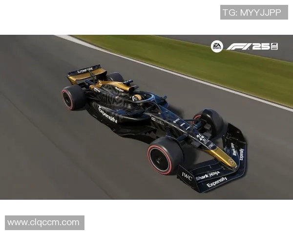 F1赛季技术革新驱动竞争格局与车队战略博弈深度解析 F1赛季技术革新驱动竞争格局与车队战略博弈深度解析