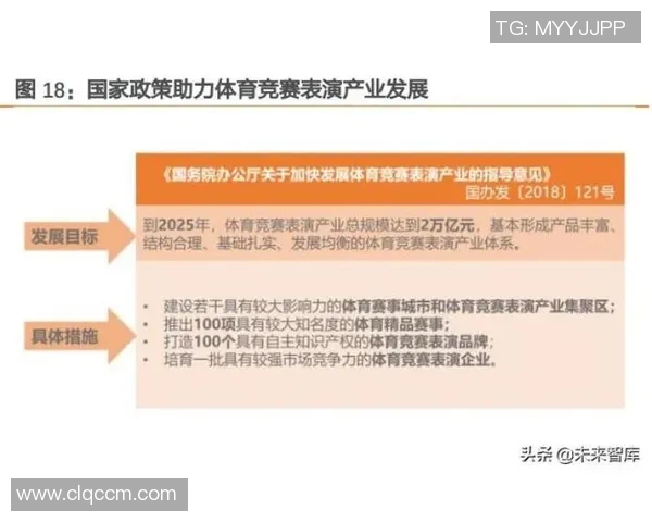 体育表演赛的商业价值及其在现代体育产业中的发展潜力分析